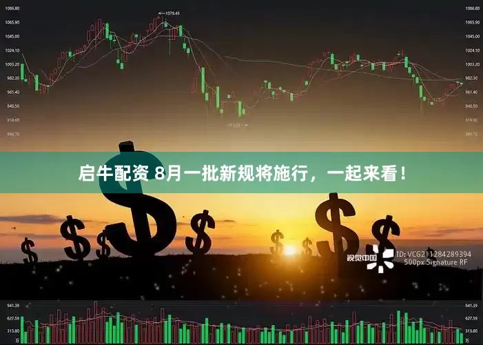 启牛配资 8月一批新规将施行，一起来看！