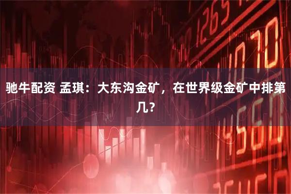 驰牛配资 孟琪：大东沟金矿，在世界级金矿中排第几？